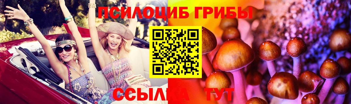 Псилоцибиновые грибы мухоморы  Вход с VPN  Галлюциногенные грибы Cubensis  Майкоп 